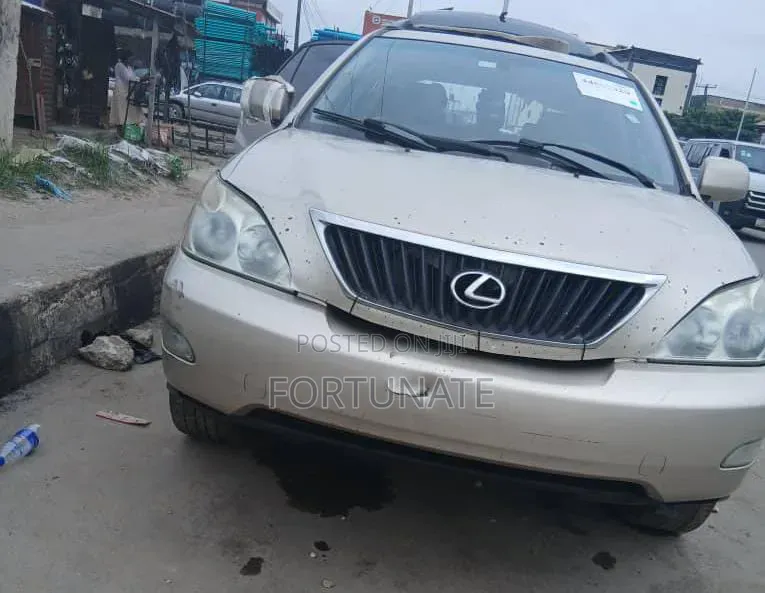 Lexus RX 2008 Green