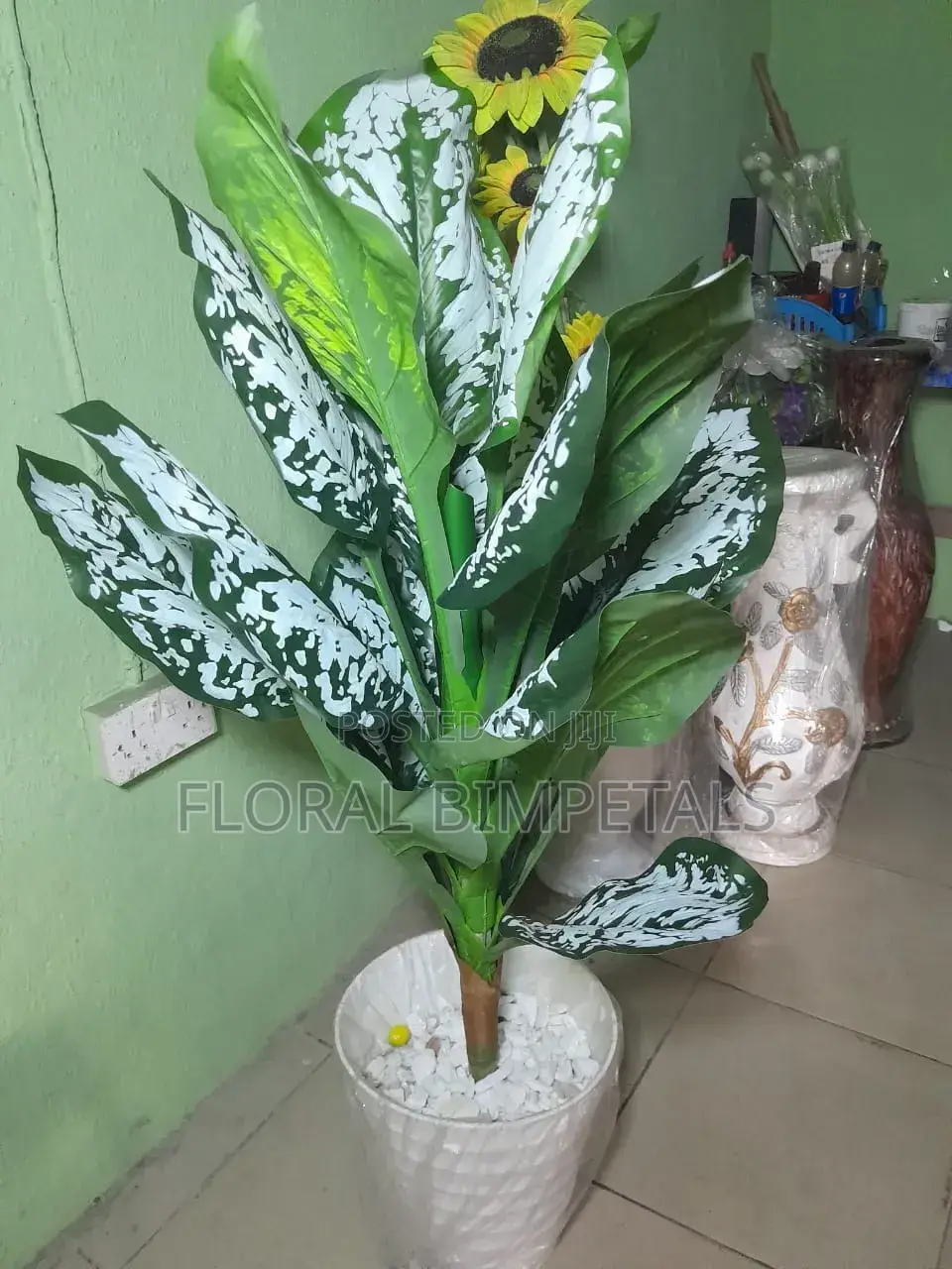 Fibre Pot and Green Plant