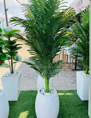 Fibre Pot and Green Plant