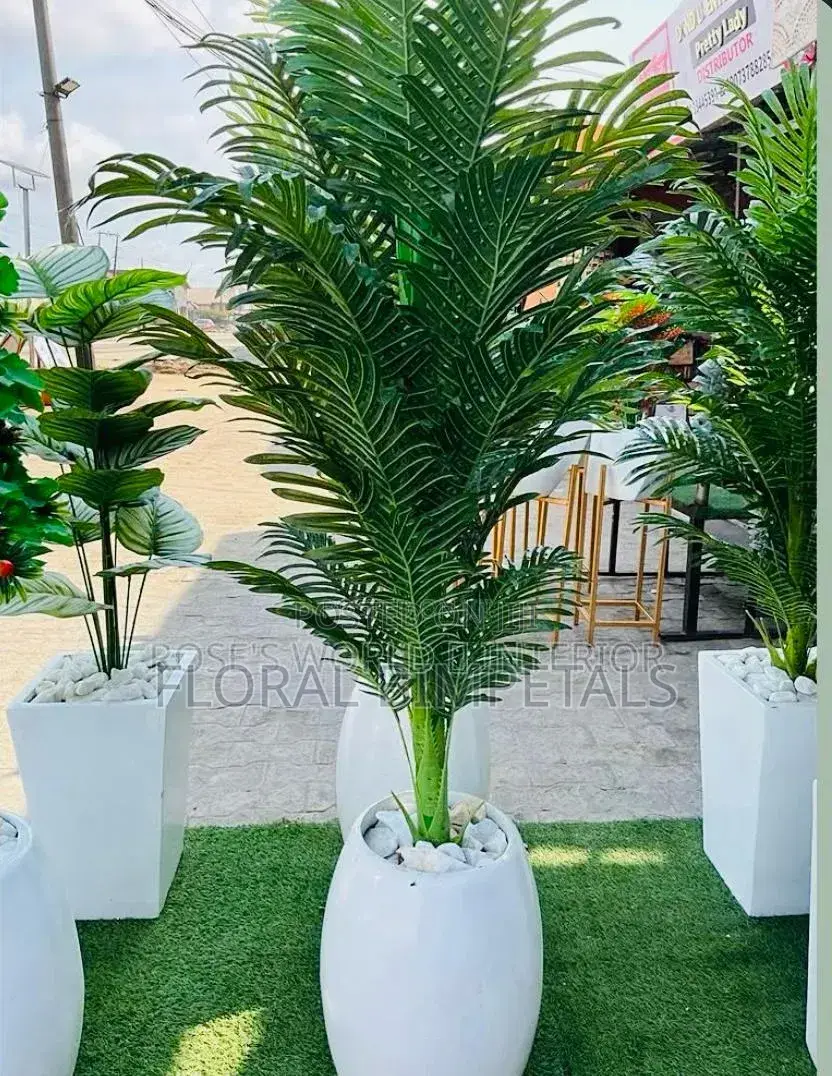 Fibre Pot and Green Plant
