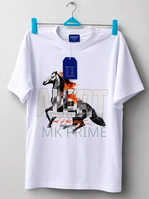 Premium Quality Cotton Cloth