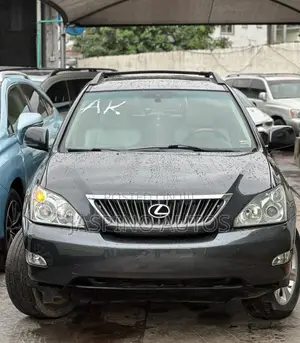 Lexus RX 2008 Gray