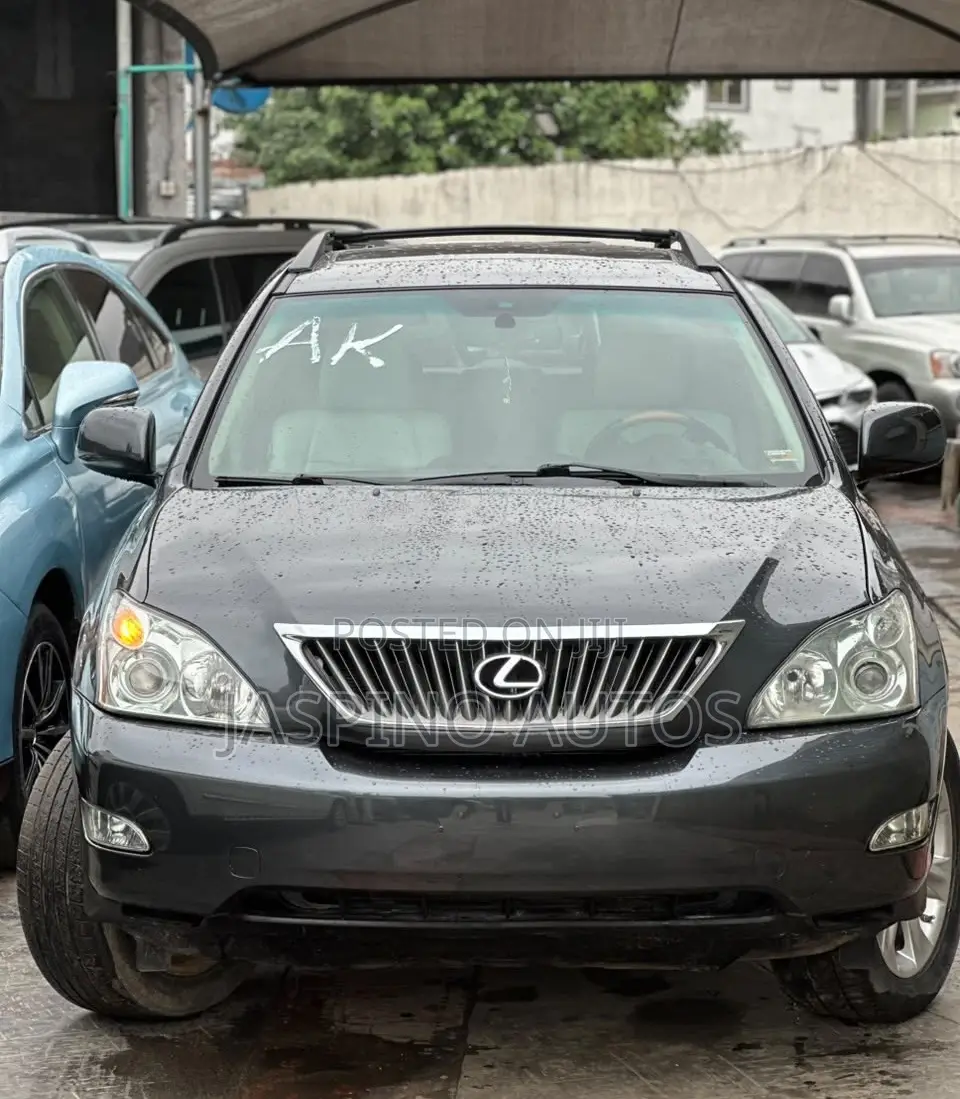Lexus RX 2008 Gray