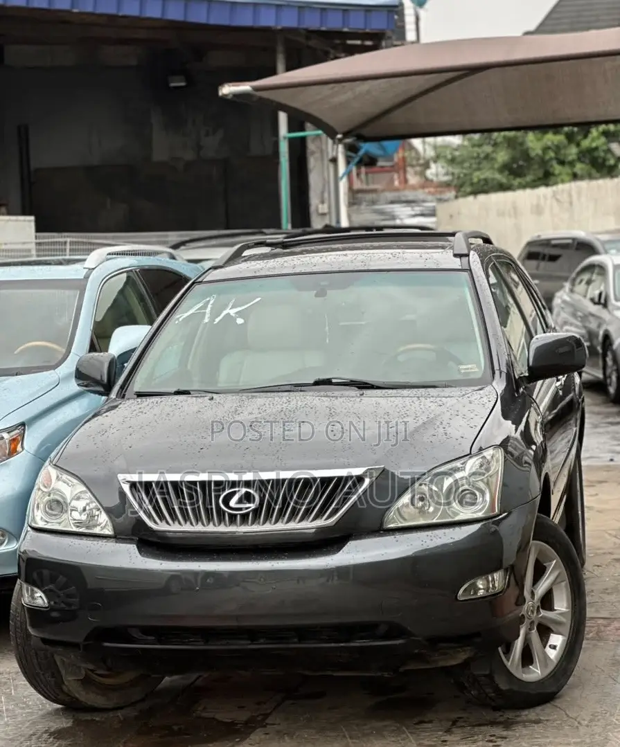 Lexus RX 2008 Gray