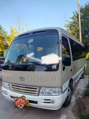 Toyota Coaster 2009 Gold