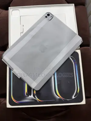 Apple iPad Pro 11 (2024) 256 GB Gray