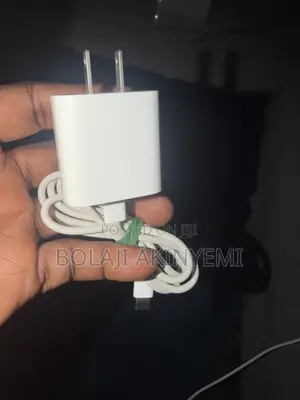 Apple Charger