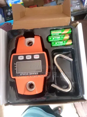 Mini Crane Scale 200kgs