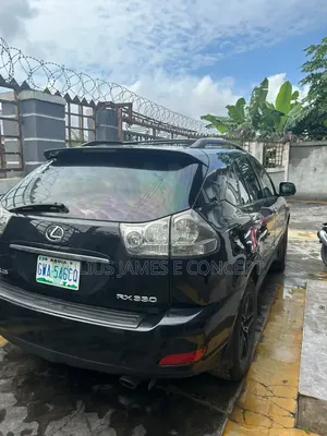 Lexus RX 2010 Black