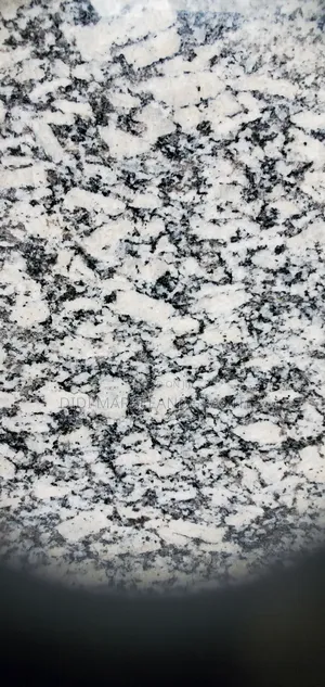 Tiger White Granite 30x60 for Hall Flooring.
