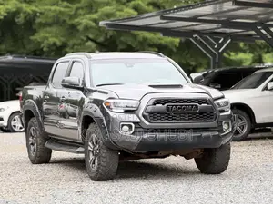 Toyota Tacoma 2019 Gray