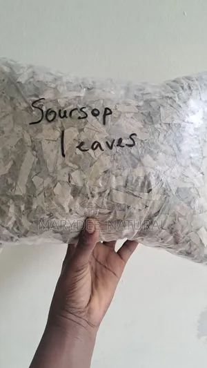 Soursop Leaves