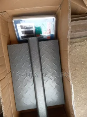 Standing Digital Scale 100kgs