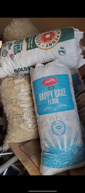 Dog and Cat Noodles