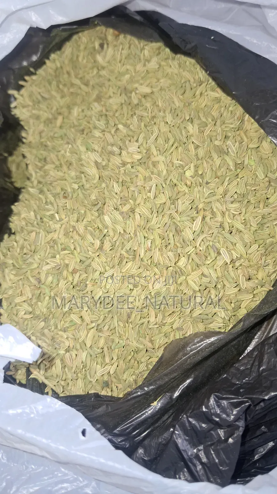 Fennel Seeds
