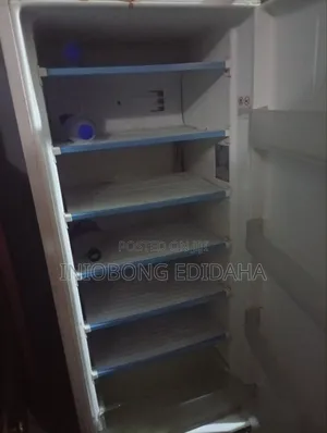 Lg Standing Freezer