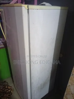 Lg Standing Freezer