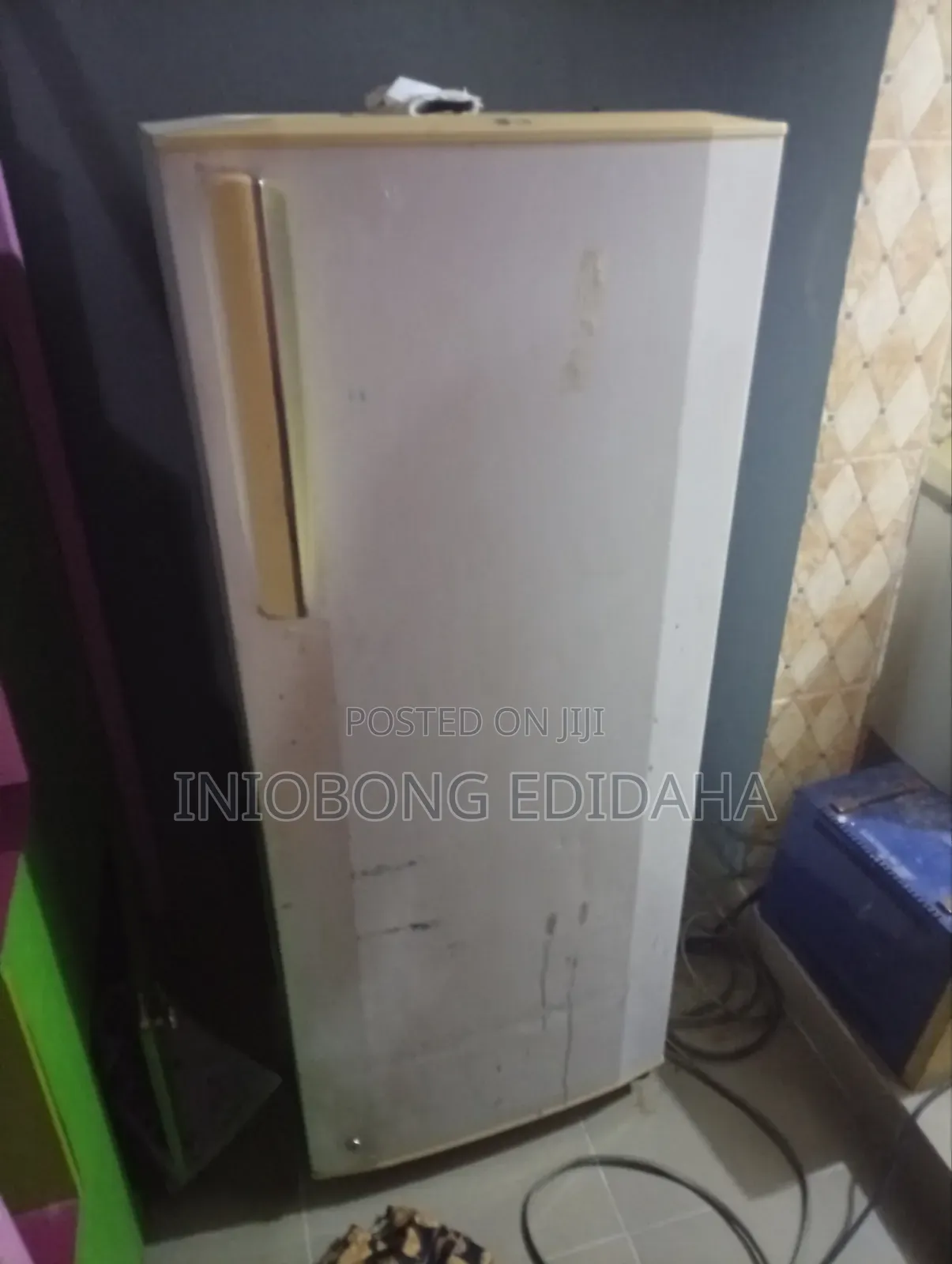 Lg Standing Freezer