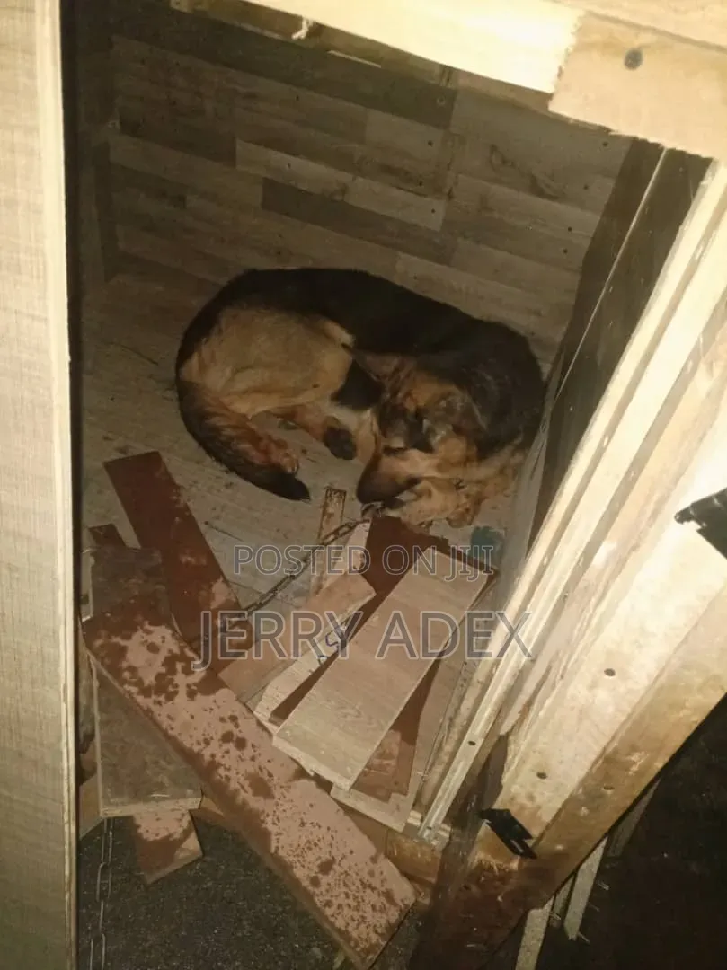 Solid Dog Cage (Hard Woods)