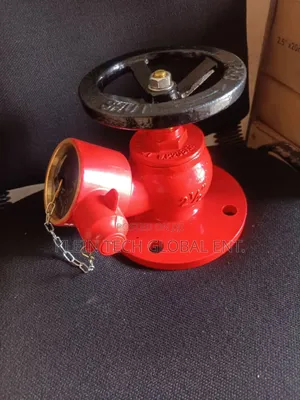 Fire Landing Valve