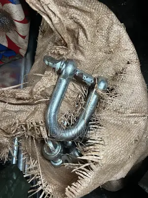 20mm D Shackle