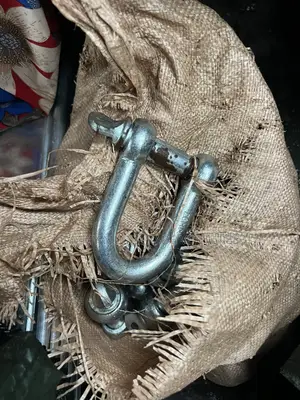 20mm D Shackle