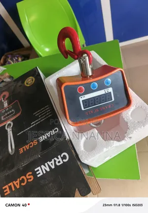 500kg Hanging Scale