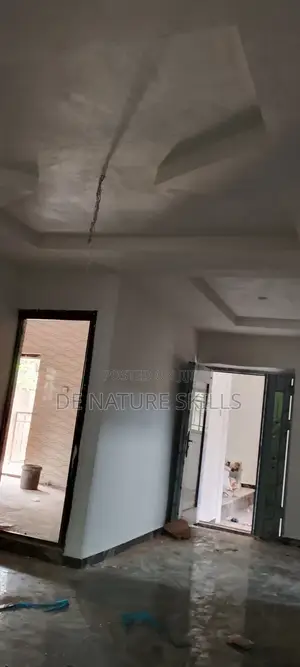 Nice Putty or Cement Screeded Walls