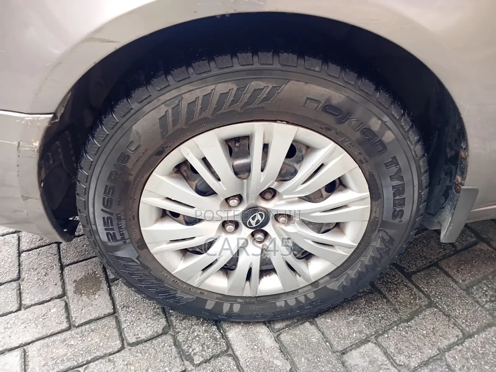 Hyundai Sonata 2007 Gray