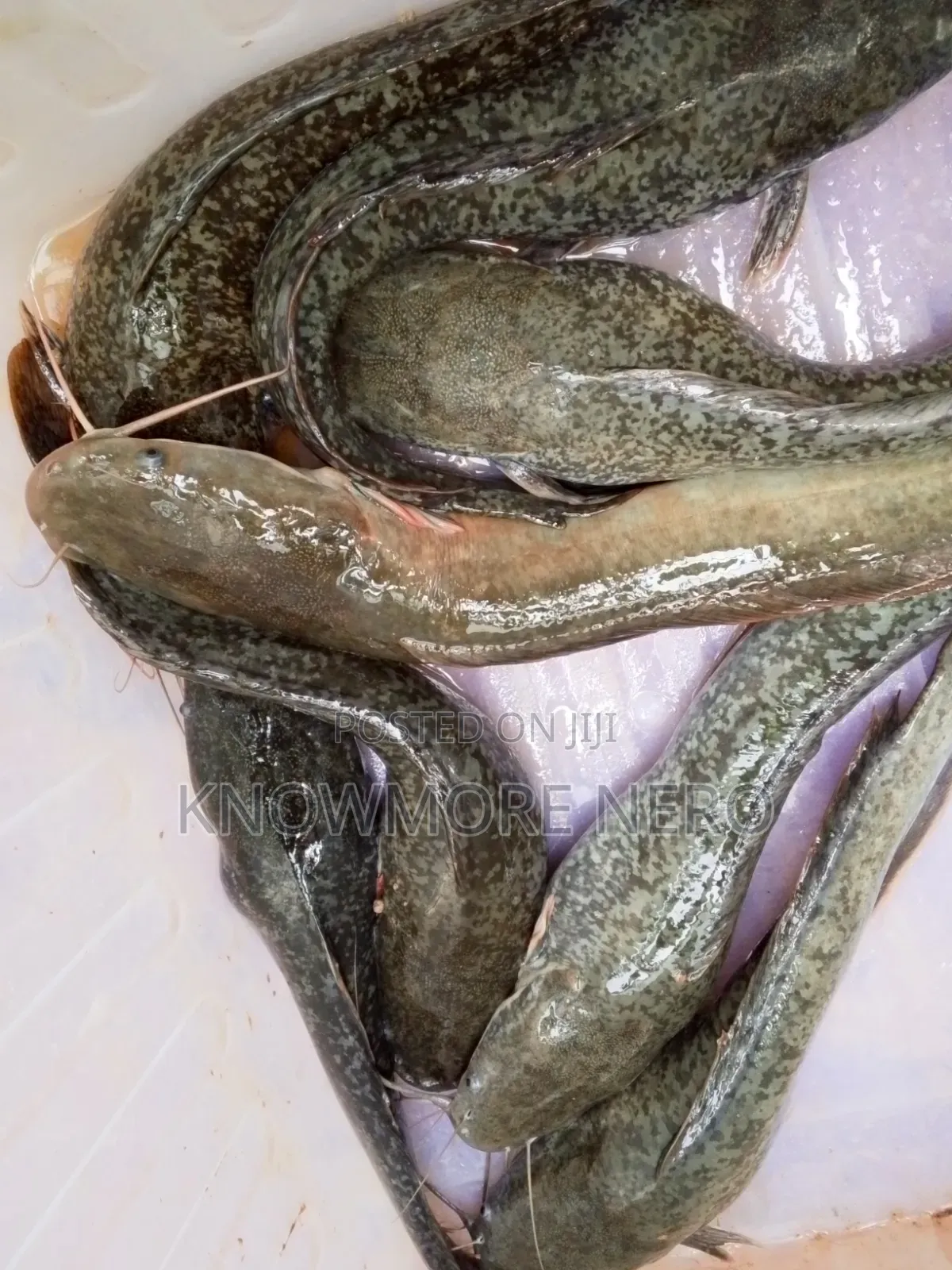 Catfishing