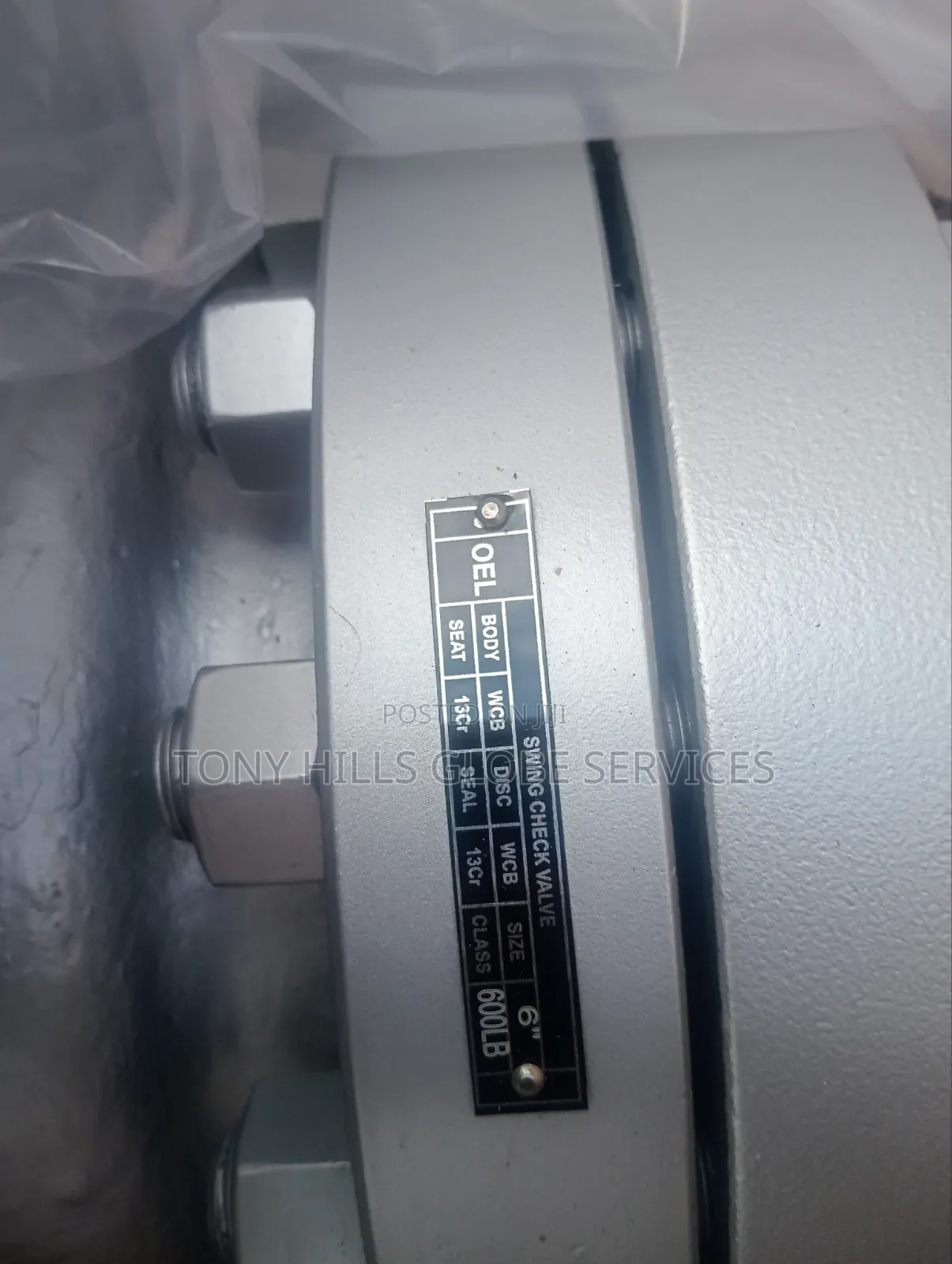 6"Cl600 Check Valve Rf