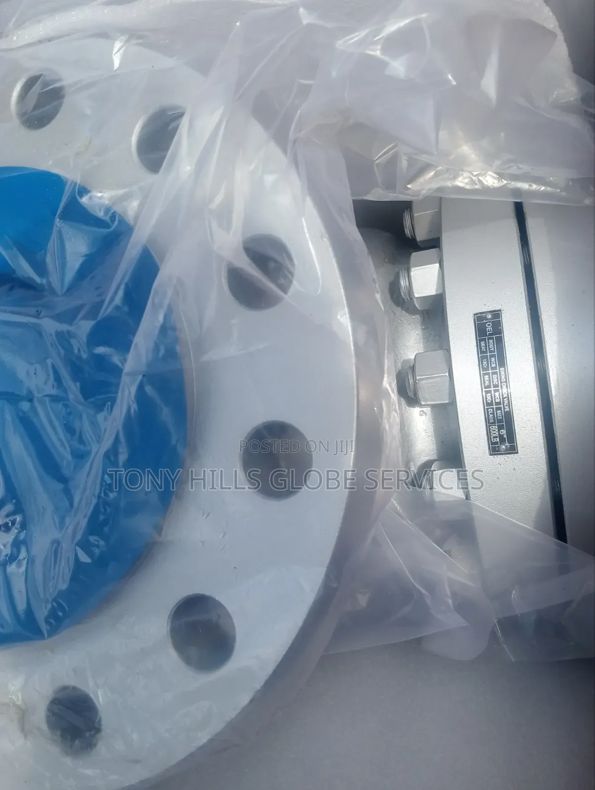 6"Cl600 Check Valve Rf