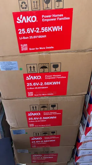 Sako 2.5kwh 24v Lithium Battery