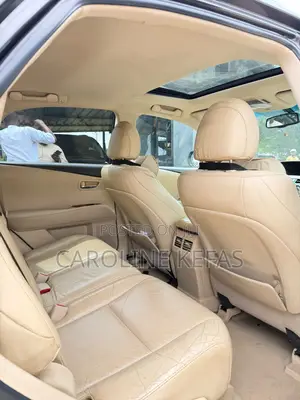 Lexus RX 2010 Gray
