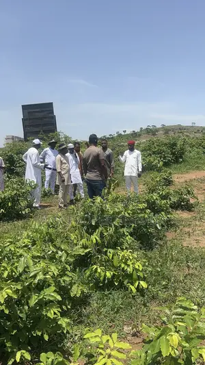Dominion Villa Kabusa