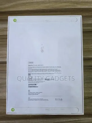 New Apple iPad (2025) 256 GB Gray
