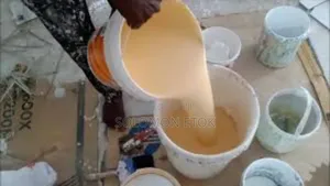 High Quality House Paints