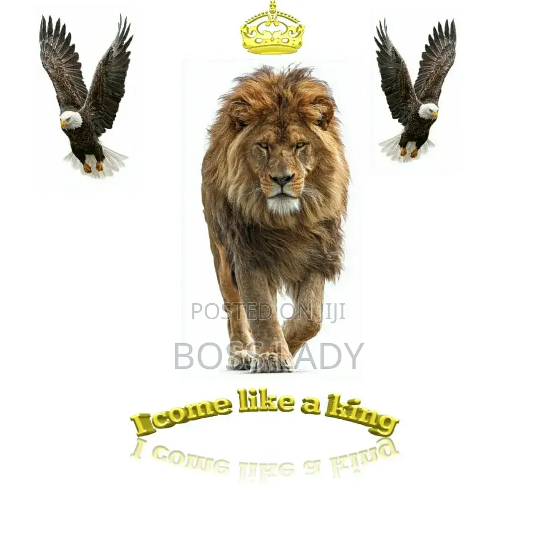 I Create Creative Logo and Animate Designs.