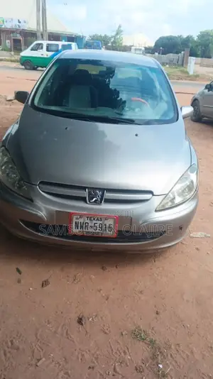 Peugeot 307 2007 Brown