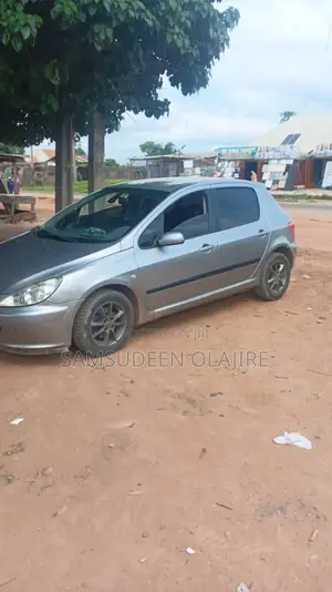 Peugeot 307 2007 Brown