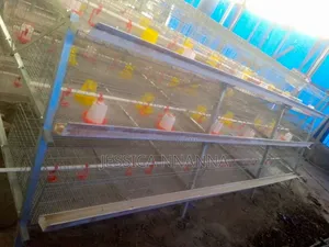 Hot Dipped Galvanized Brooding/Broilers Rearing Cage 12 Box Per Unit