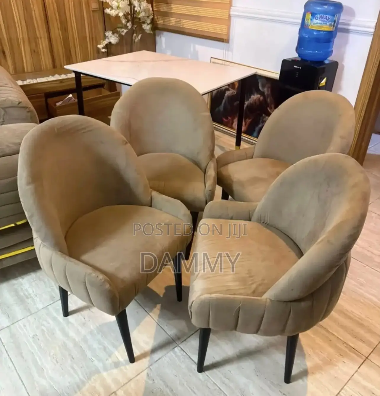 Dining Chairs