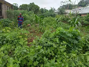 Plot of Land