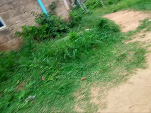 Plot of Land