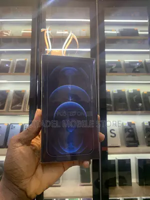 New Apple iPhone 12 Pro Max 256 GB Blue