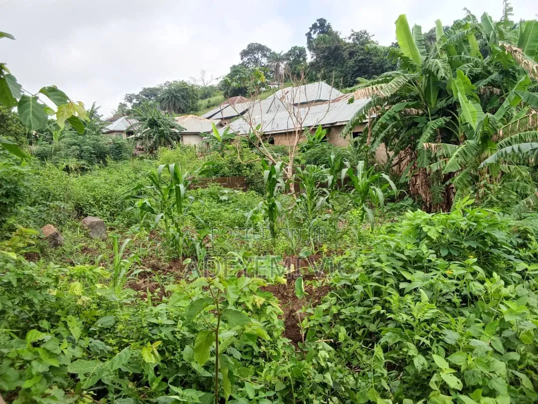 Plot of Land
