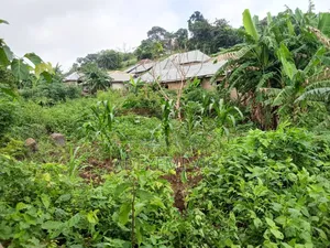 Plot of Land
