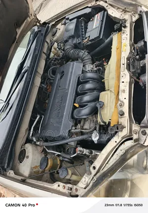 Toyota Corolla 2007 Gold