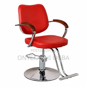 Salon/Barber Chair