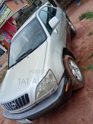 Lexus RX 300 2WD 2003 Gray